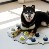 MEWOOFUN喵乎汪也 寵物溝通按鈕 | 狗狗說話按鈕